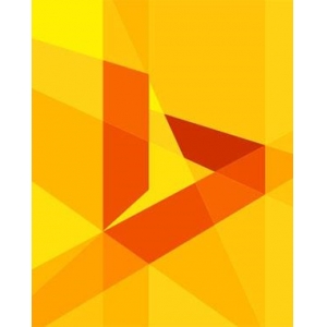 战石公司获得微软New Bing预览资格